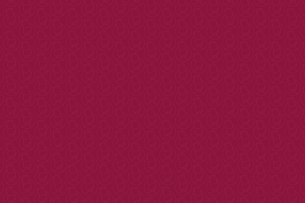 Trophées de la Gastronomie et des Vins 2025 03_11_2025 BD ©BriceROBERT 140 rouge.png